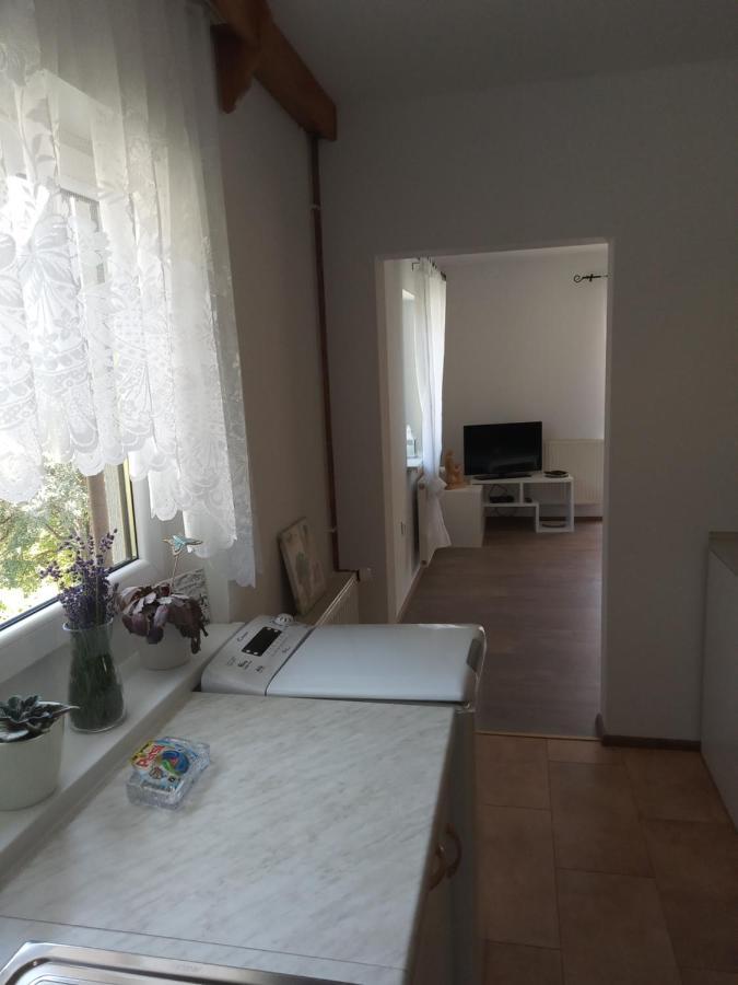 Apartment With A View Bohinjska Bistrica Exterior foto