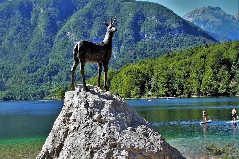 Apartment With A View Bohinjska Bistrica Exterior foto